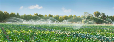 The Benefits of Adding UV-Based Disinfection Technology to Food Sterilisation