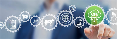 The Potential of UV Light in Methane Removal